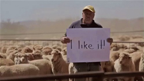 ILike It Shepherd GIF