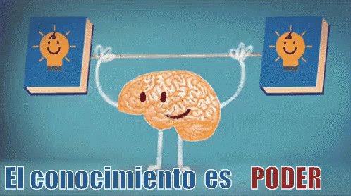 Hay Que Ejercitar El Cerebro GIF