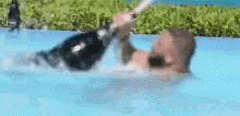 Dj Khaled Pool GIF