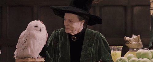 Happy Birthday to one of my favorite actresses and Hogwarts professors, Maggie Smith 