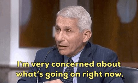 Anthony Fauci GIF by GIPHY News