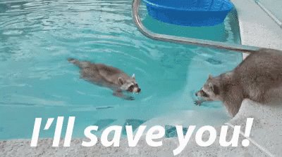 I'll Save You! GIF