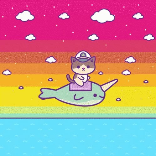 Narwhals Kitty GIF