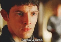 Btw happy birthday to the one and only Colin Morgan.  