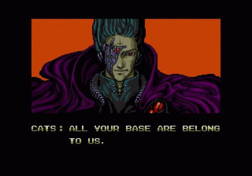 All Your Base Are Belong To Us Cats GIF