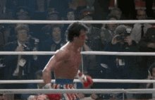 Rocky Balboa The Italian St...