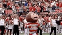 Ohio State Buckeyes GIF