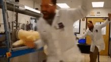 Lab High Five GIF