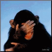 Laughing Monkey GIF