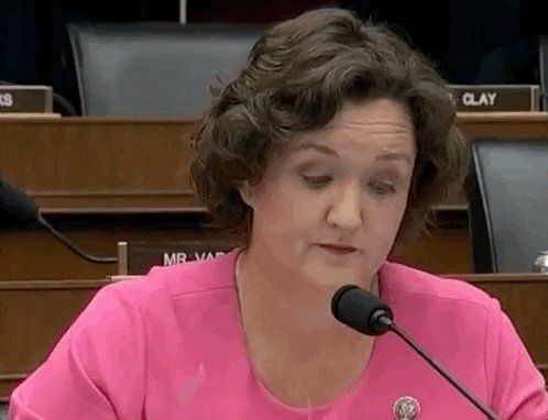 @DUMP_TRUMP_202's photo on Katie Porter