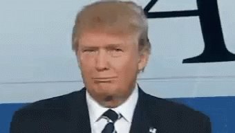 Donald Trump Really GIF