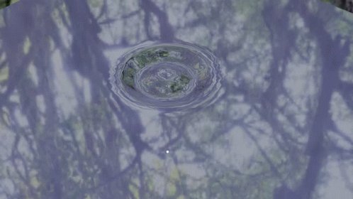Water Water Drop GIF