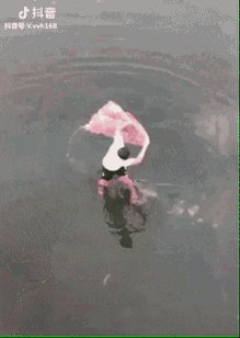 الرزق_الحلال Fish Net GIF
