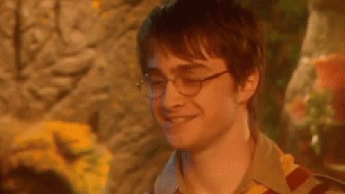 Harry Potter Always Be Prepared GIF