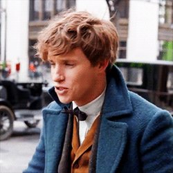 Happy Birthday Eddie Redmayne 