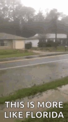 Hurricane Florida GIF