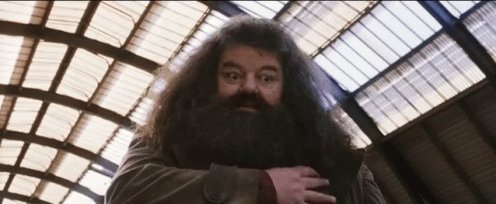 Hagrid Harry Potter GIF