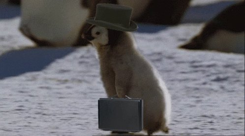 Penguin OMW GIF