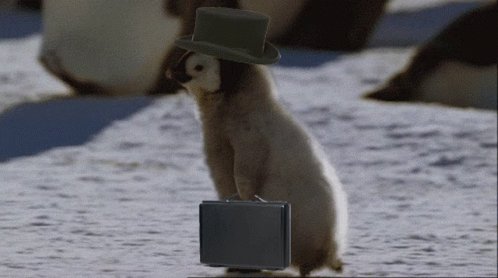 Penguin OMW GIF