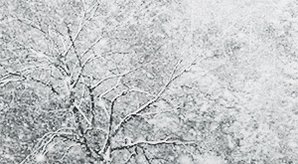 China Snow GIF