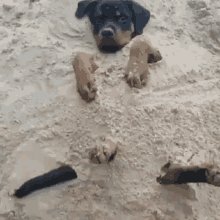 Happy Sand GIF