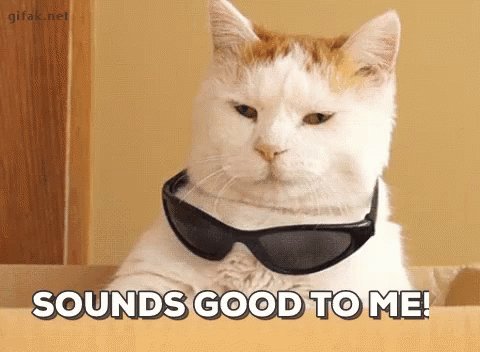 Cat Thuglife GIF