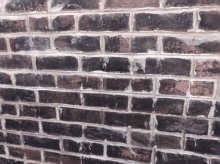 Wall Brick GIF
