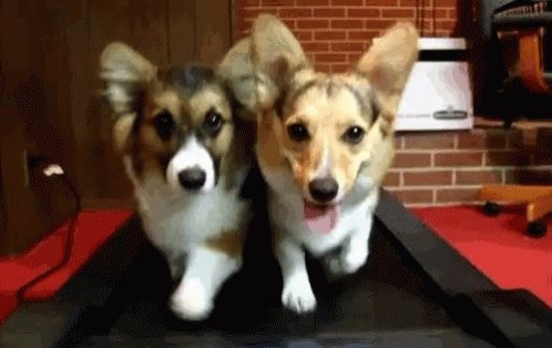 Buddies Workout GIF