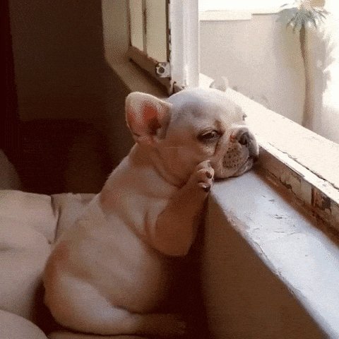 Sigo esperando que deje de llover intenso y caiga algo de nieve tambi&eacute;n donde yo vivo https://t.co/v