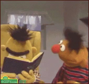 Bert And Ernie Reading GIF