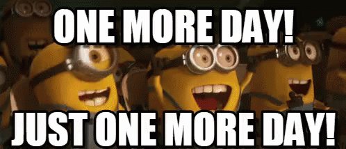 Minions yelling "ONE MORE DAY! JUST ONE MORE DAY!"