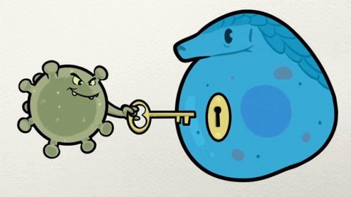 Llave Curiosamente GIF