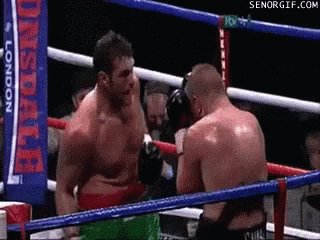 Damn Punch GIF