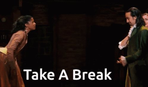 Hamilton Take ABreak GIF