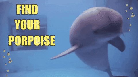 purpose GIF by chuber channel