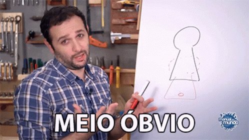 MeioÓbvio Kind Of Obvious GIF