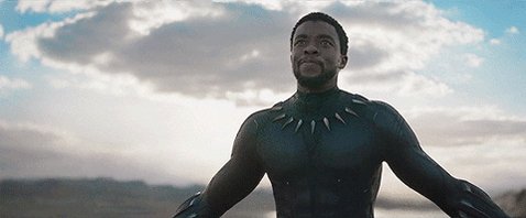 Black Panther Movie GIF