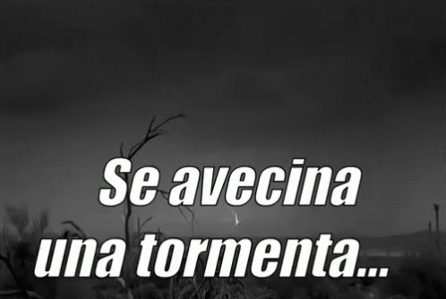 Se Avecina Una Tormenta GIF