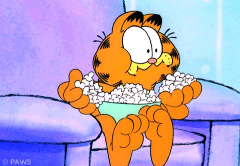 cat wow GIF by Garfield