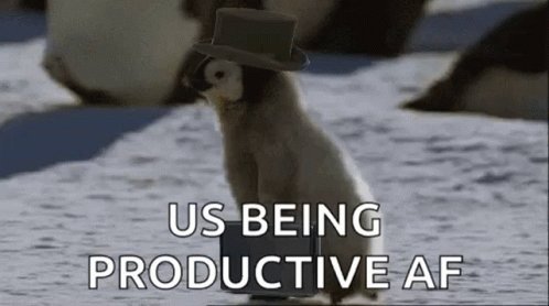 Penguin Productive GIF