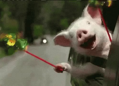 Excited Joyride GIF