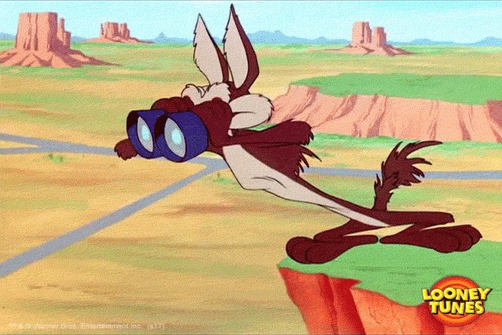 confused wile e coyote GIF by Looney Tunes