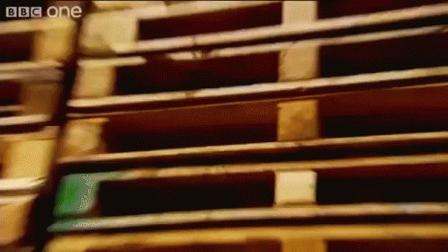 Widden Pallets GIF