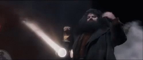 Hagrid Harry Potter GIF