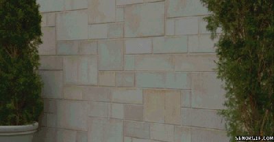 ouch wall GIF