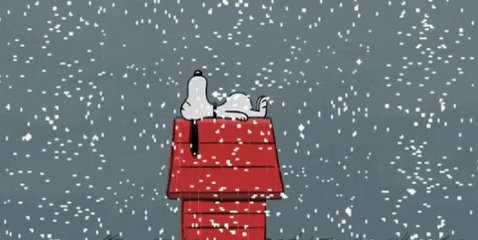 sleepy snow day GIF by Nebraska Humane Society