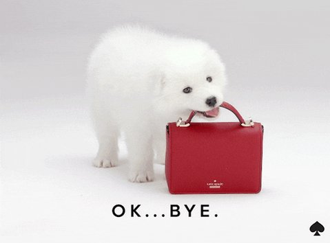 ok GIF by kate spade new york