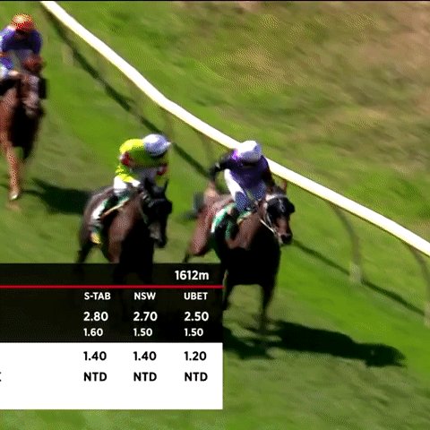 Ubet Racing App