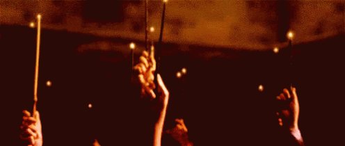 Harry Potter Wand GIF