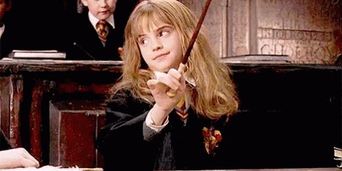 Hermione Granger Wand GIF